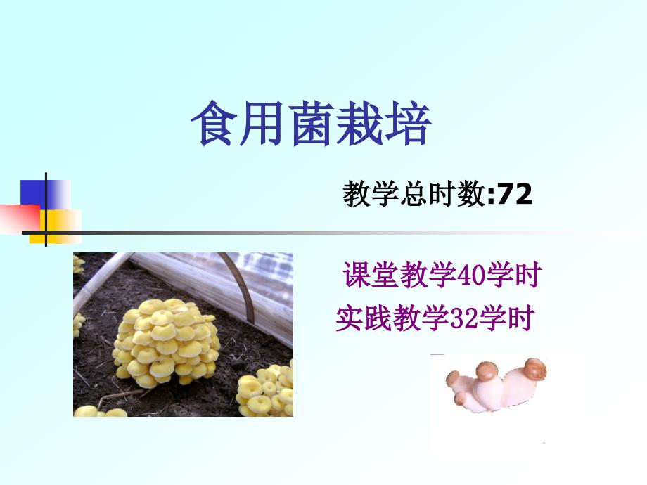 食用菌栽培PPT._第1页