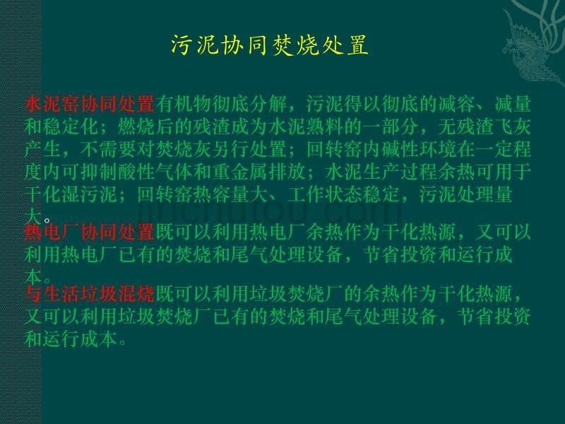 水泥窑炉协同处置污泥技术交流大会总结解读_第5页