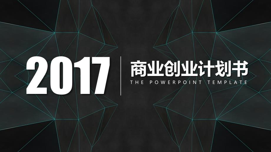 2017年 商业创业计划书_第1页