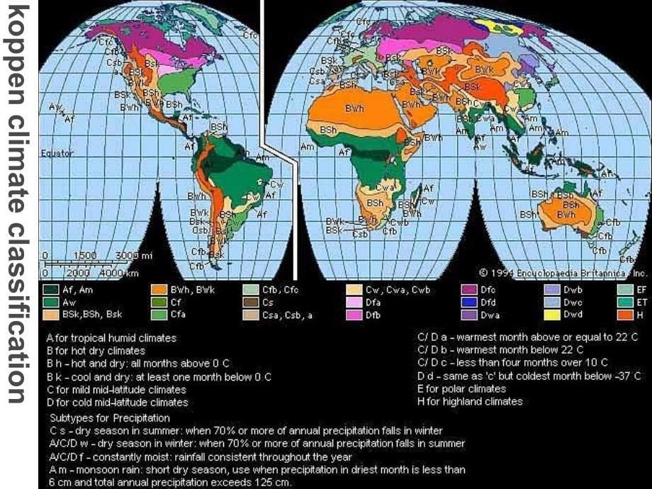 世界气候类型特征、分布位置及植被类型解读_第5页