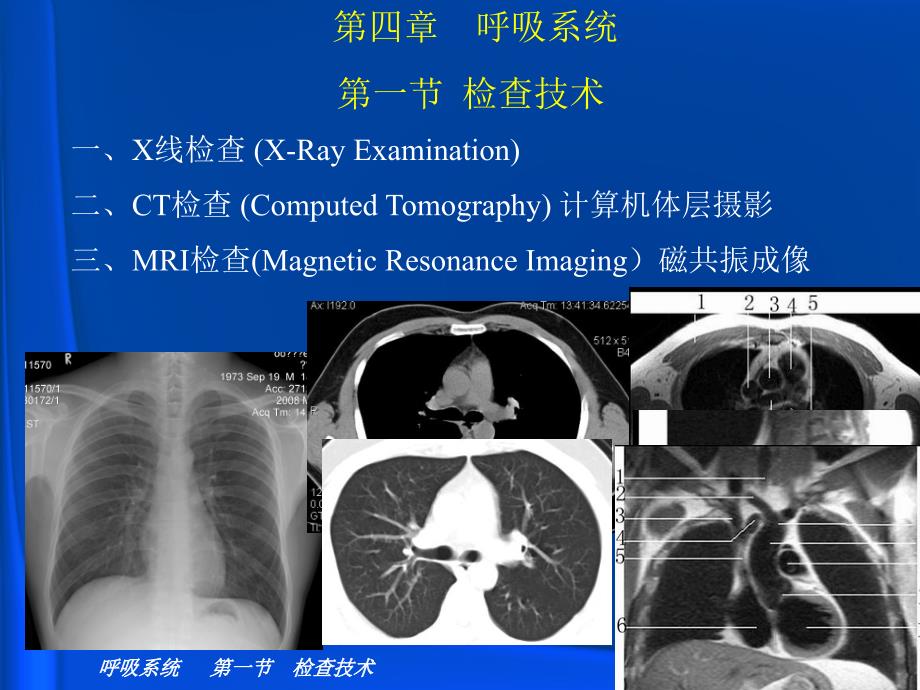 影像技术呼吸放射-正常表现剖析_第3页