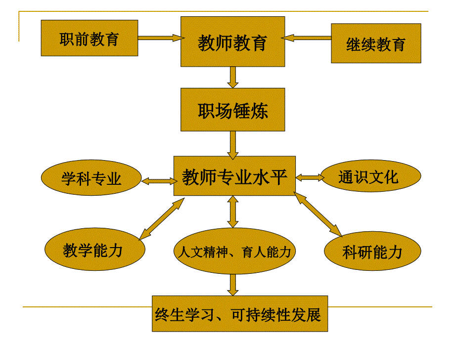 教师的专业发展._第4页