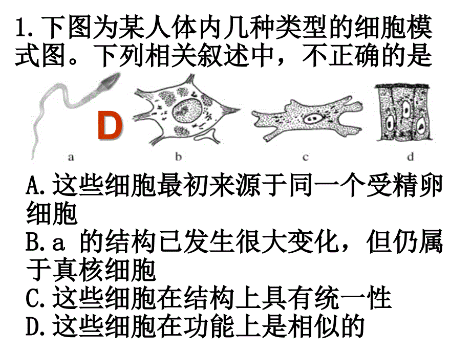 上课必修二三遗传信息的携带者——核酸_第1页