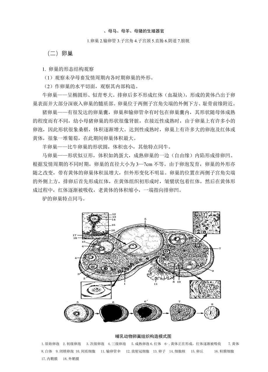 动物繁殖学实验实习指导 - 西北农林科技大学精品课程_第5页