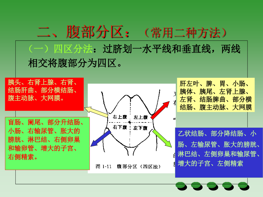 腹部检查上课用_第4页