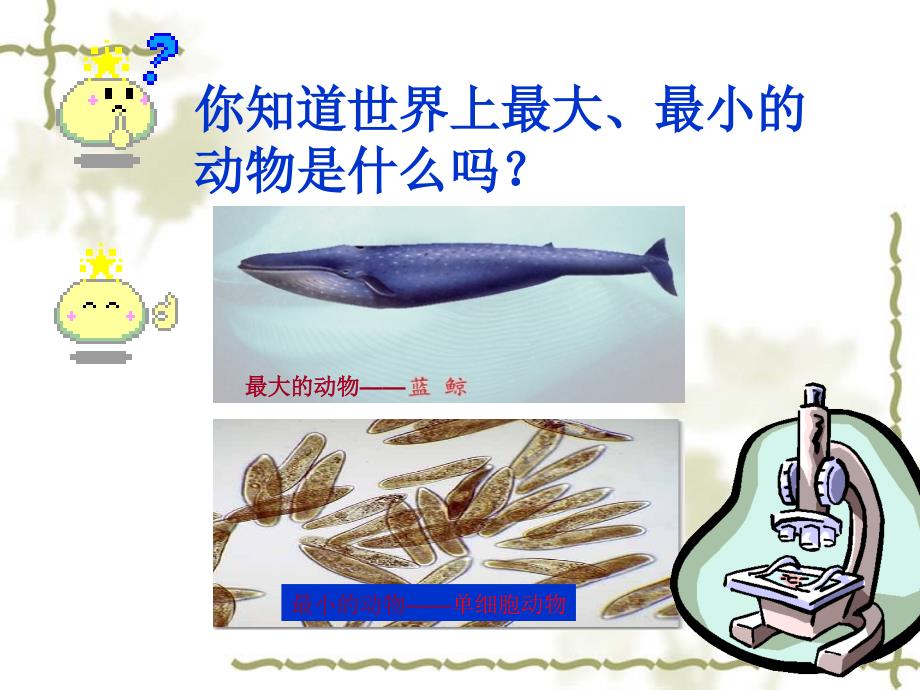 三单细胞生物_第1页