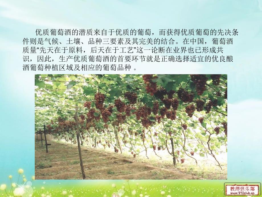 我国酿酒葡萄种植产地分布情况._第3页