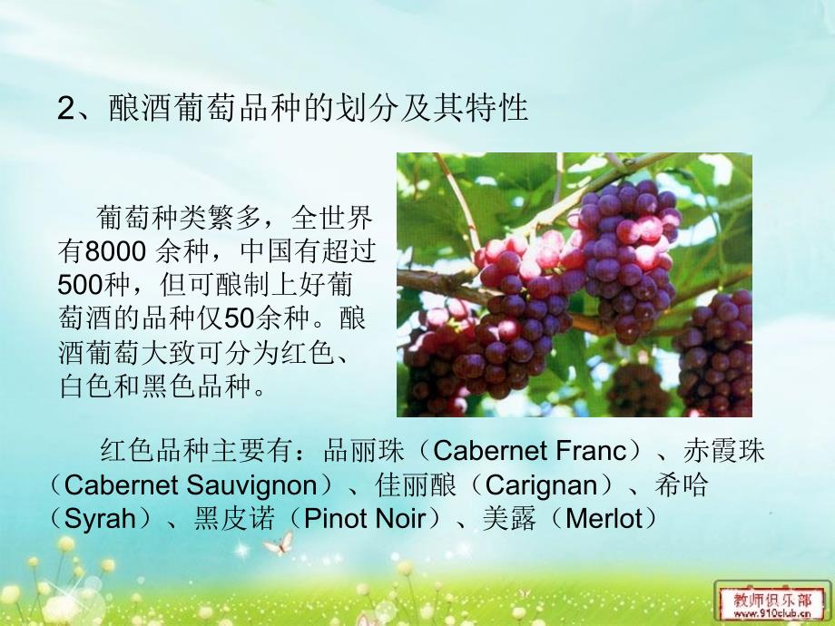 我国酿酒葡萄种植产地分布情况._第4页