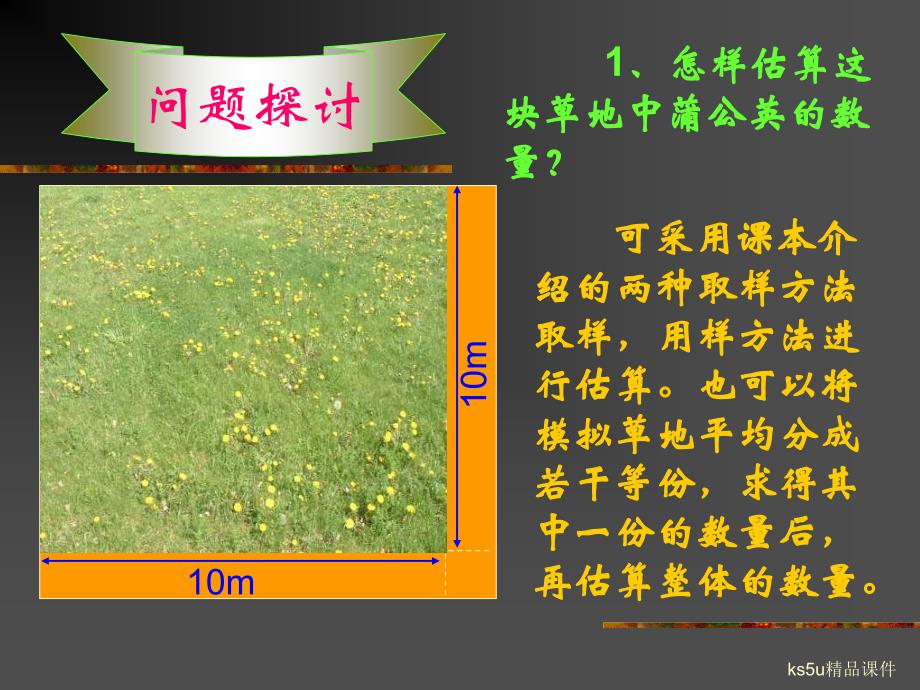 一高二生物种群的特征_第3页