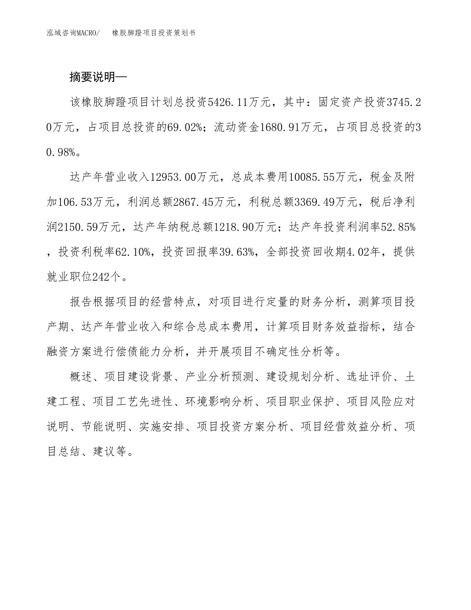 橡胶脚蹬项目投资策划书.docx_第2页