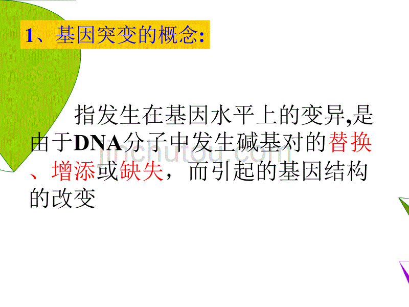 《遗传与进化基因突变和基因重组》(必修)_第5页