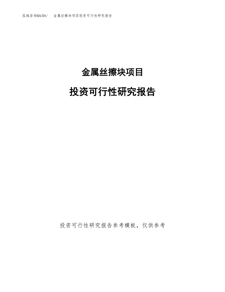 金属丝擦块项目投资可行性研究报告.docx_第1页