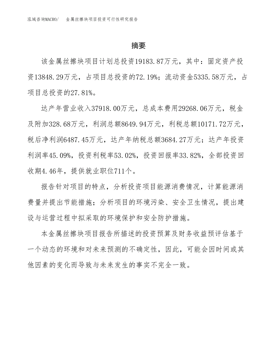 金属丝擦块项目投资可行性研究报告.docx_第2页