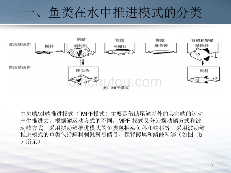 水下机器人结构报告剖析_第3页