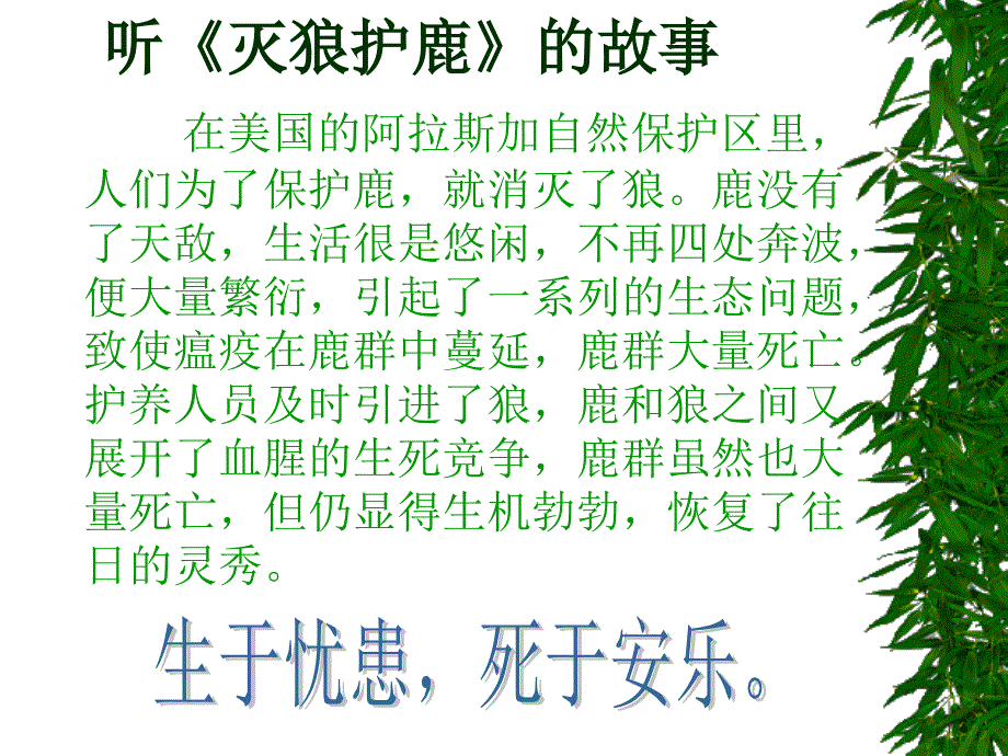 中学生励志、奋斗、信心主题班会《爱拼才会赢》 (2)_第3页