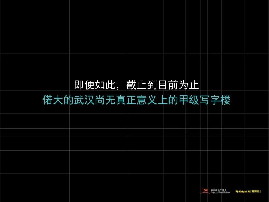 青铜骑士武汉企业中心5号推广策略案1258428828._第5页