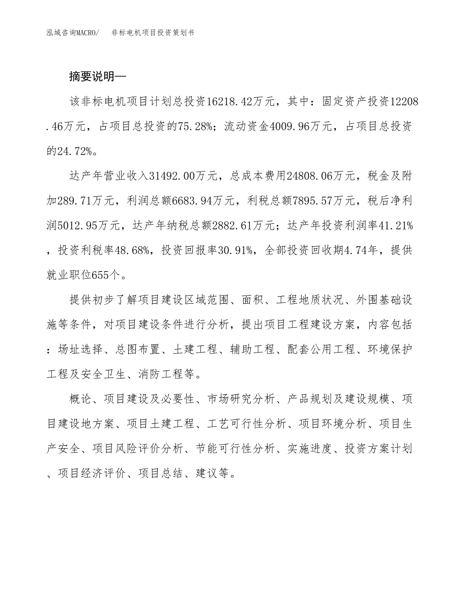 非标电机项目投资策划书.docx_第2页