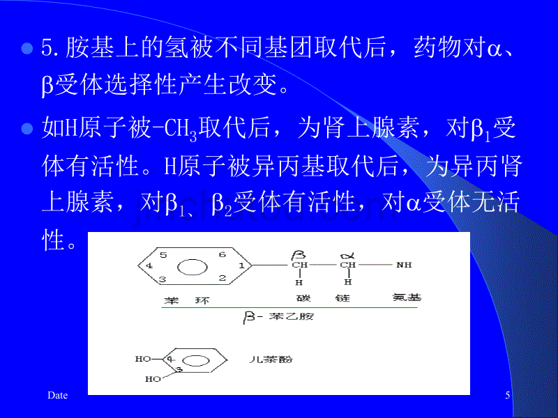 药理学肾上腺素受体激动药学习_第5页