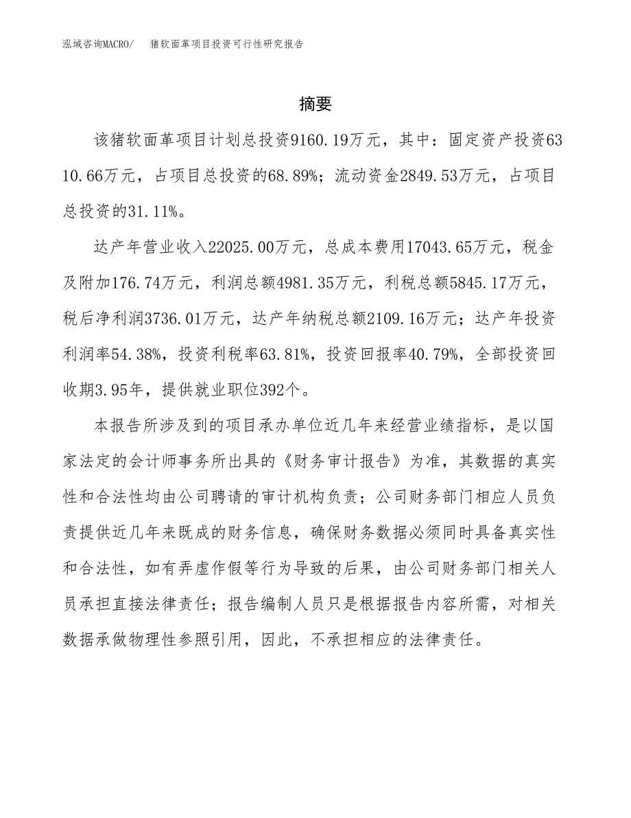 猪软面革项目投资可行性研究报告.docx_第2页