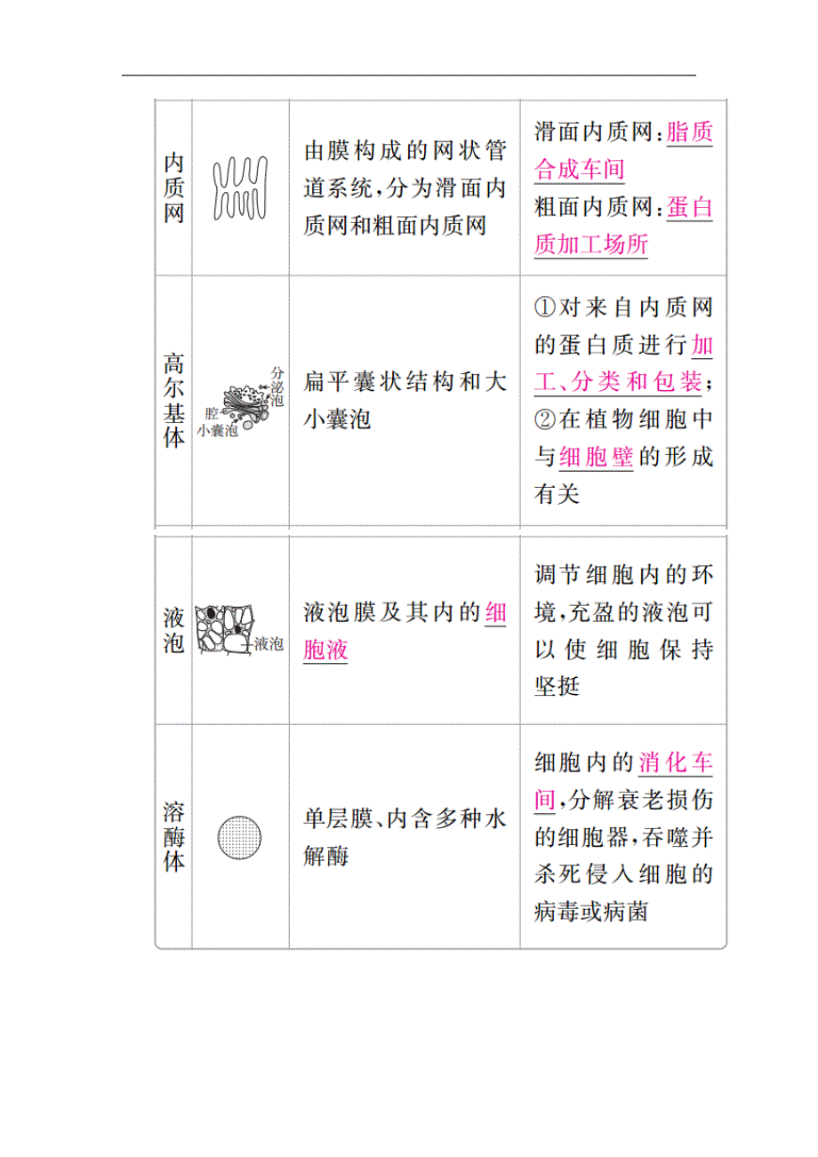 2020年高考生物一轮复习培优学案《第6讲细胞器与生物膜系统》_第2页