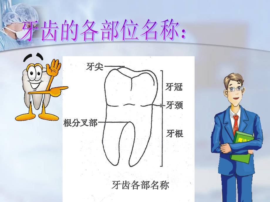 预防龋齿PPT_第4页