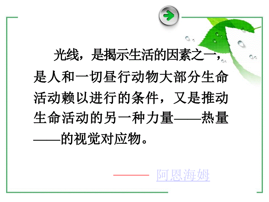 视听心理学(第2章)教材_第4页