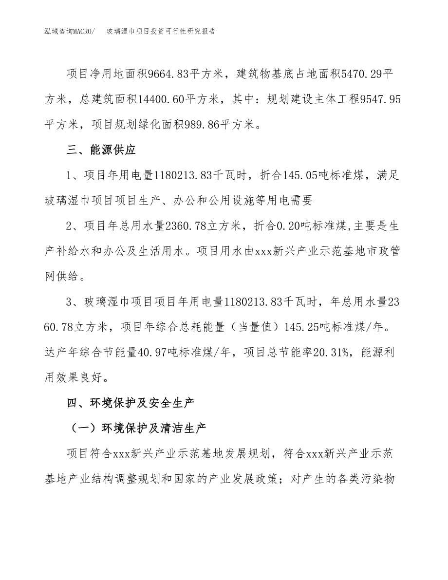 玻璃湿巾项目投资可行性研究报告.docx_第5页