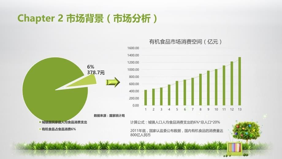 2016年 健康食品商业计划书_第5页