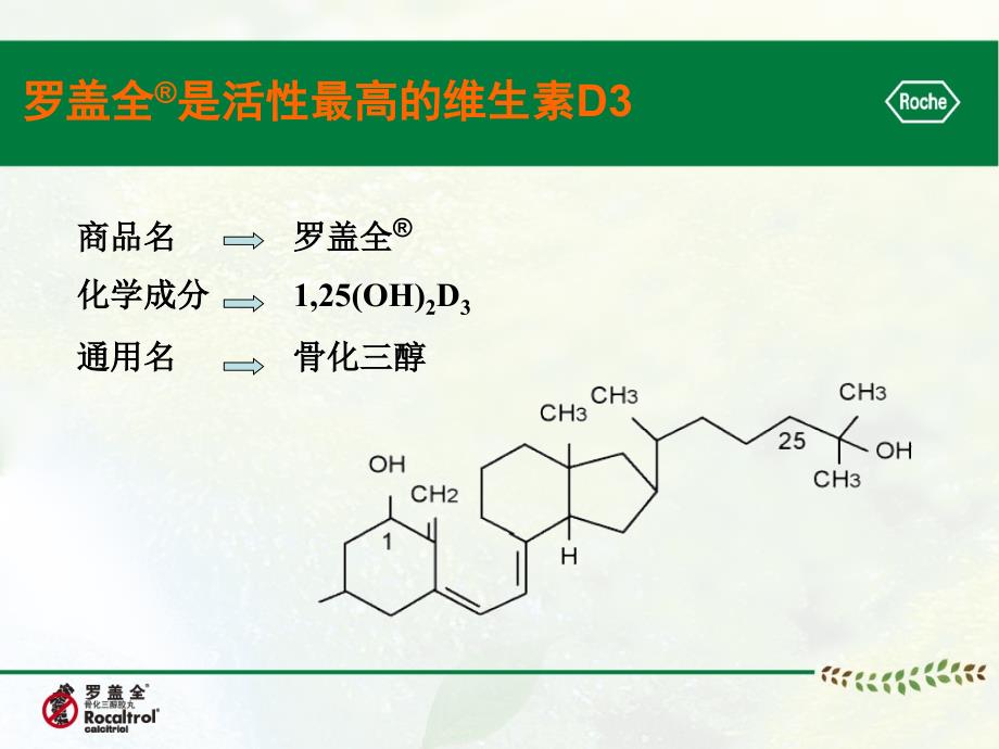 罗盖全在骨科中的应用讲义_第2页