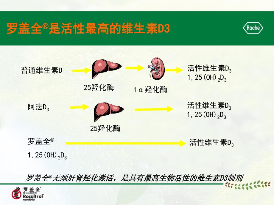 罗盖全在骨科中的应用讲义_第3页