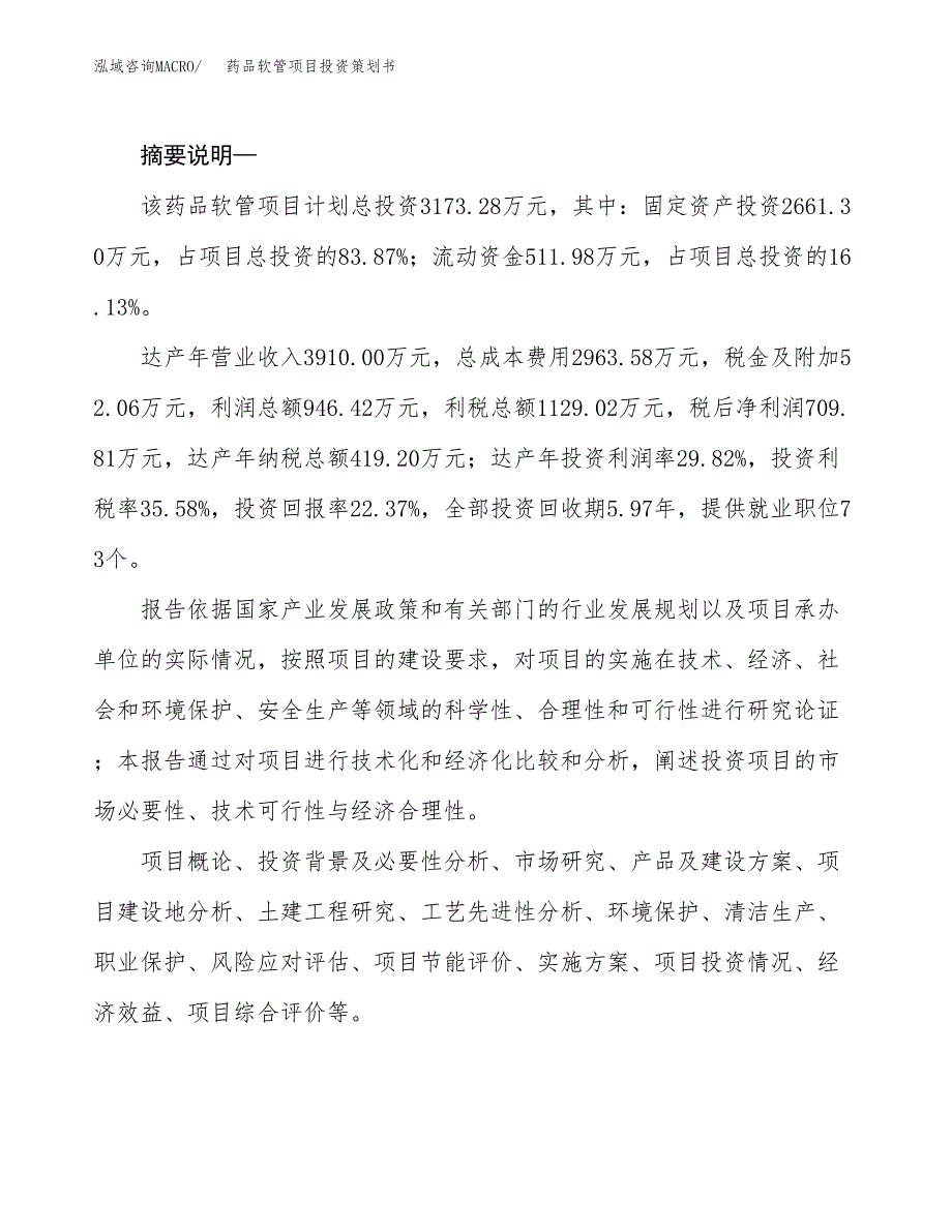 药品软管项目投资策划书.docx_第2页