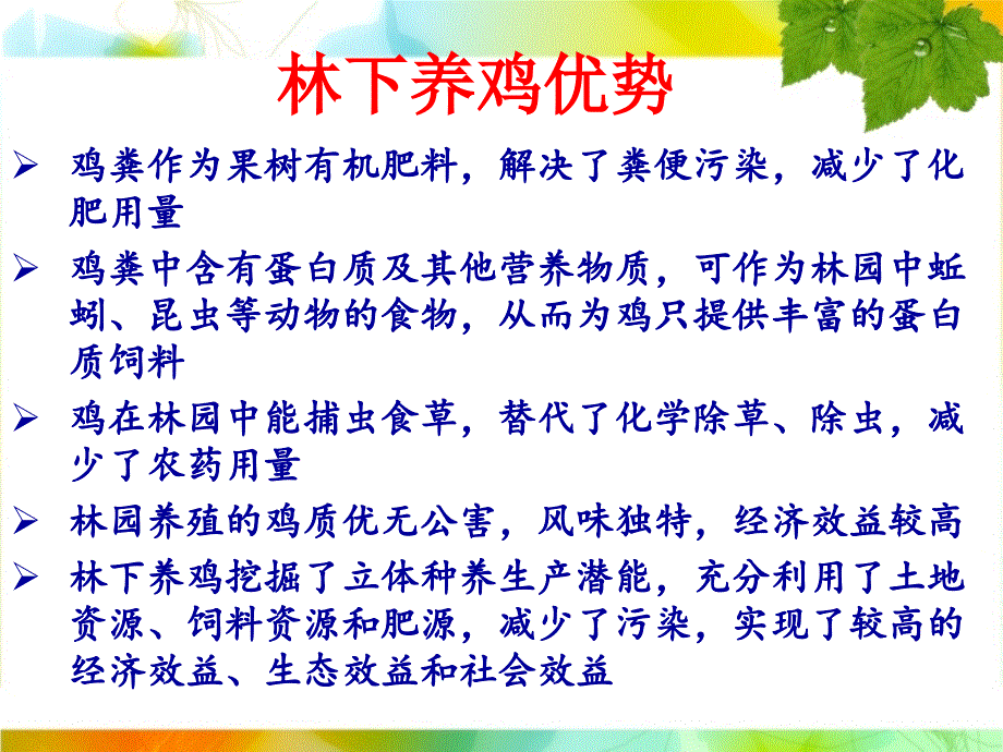 林下鸡养殖技术汇编_第4页