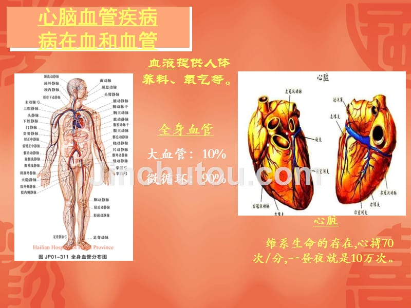 心脑血管疾病介绍剖析_第4页