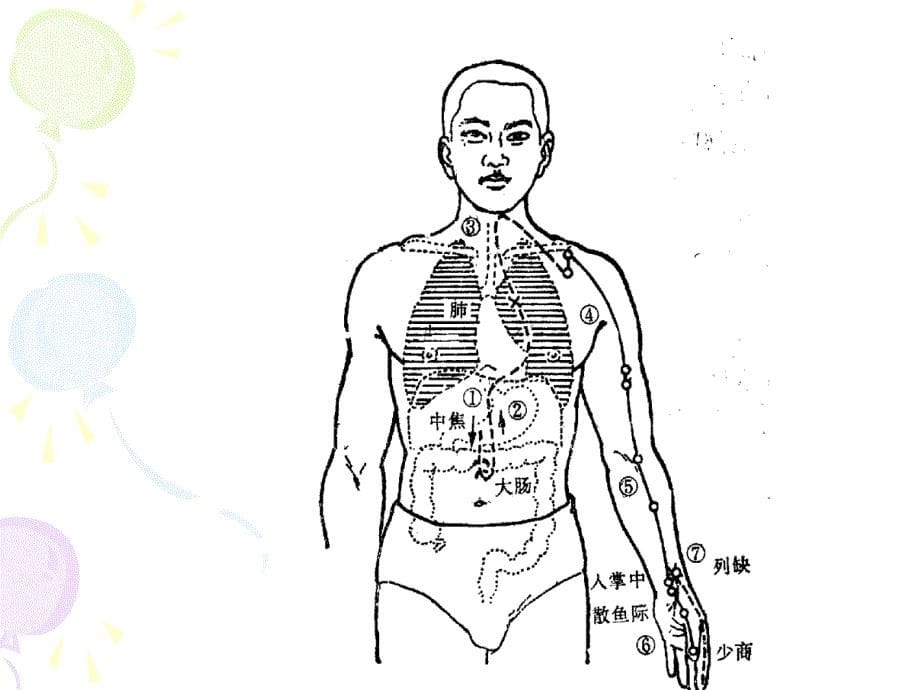 人体经络肺经_第5页