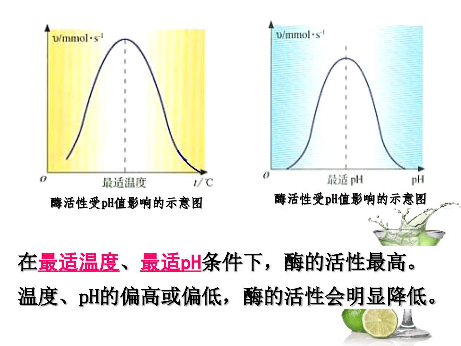 专题4 课题1 果胶酶在果汁生产中的应用解读_第4页