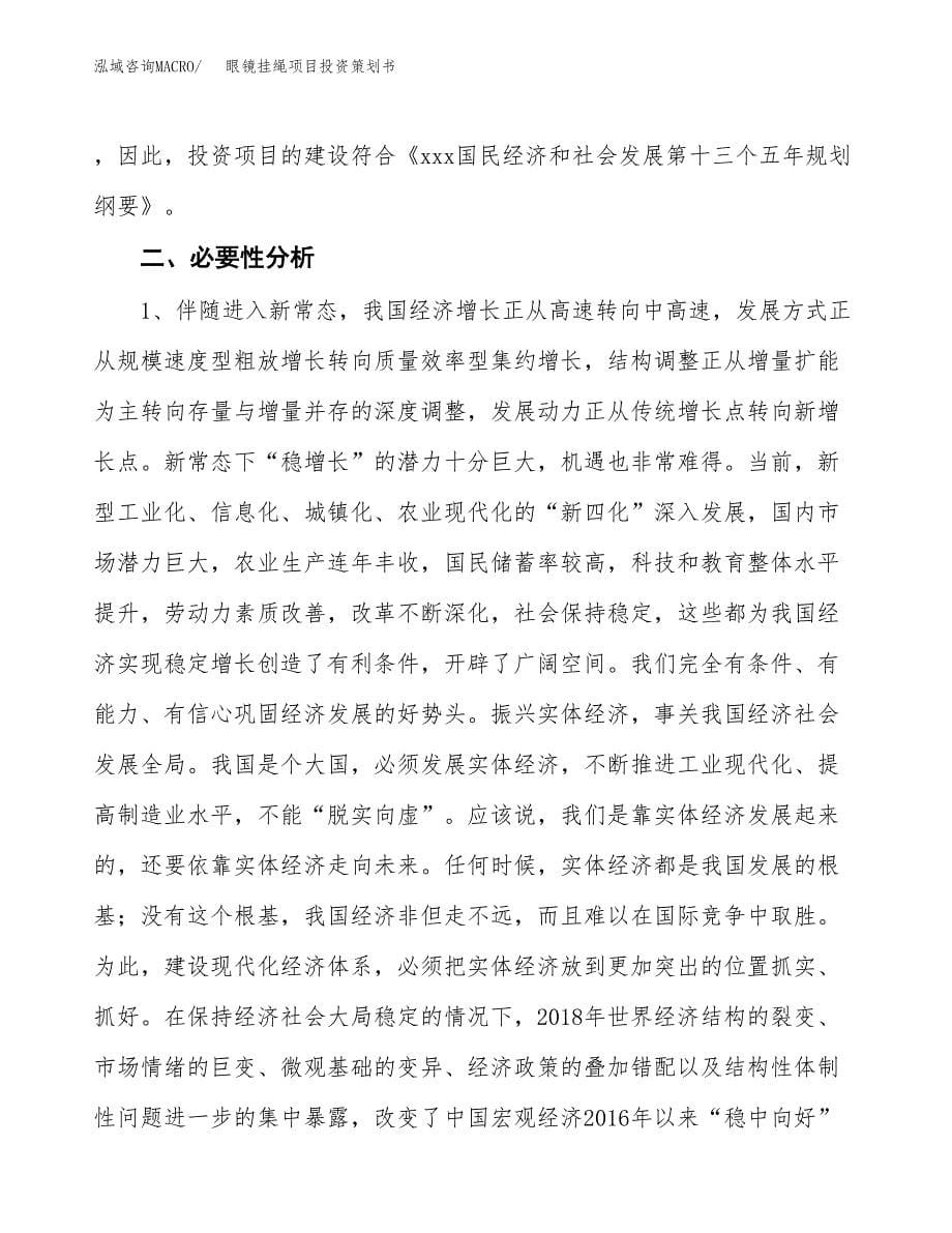 眼镜挂绳项目投资策划书.docx_第5页