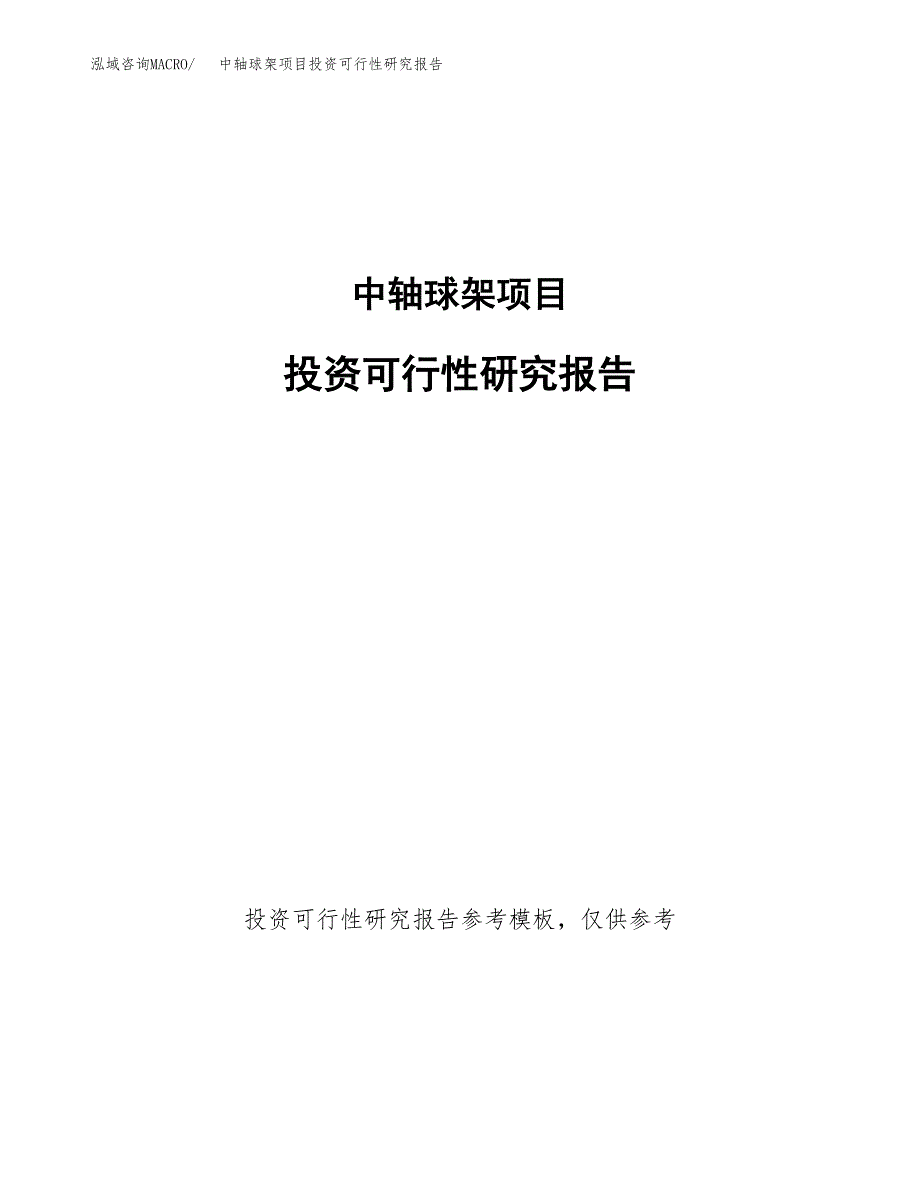 中轴球架项目投资可行性研究报告.docx_第1页