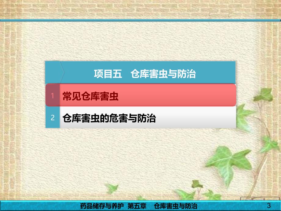 药品储存与养护课件第5章_-_仓库害虫与防治._第3页