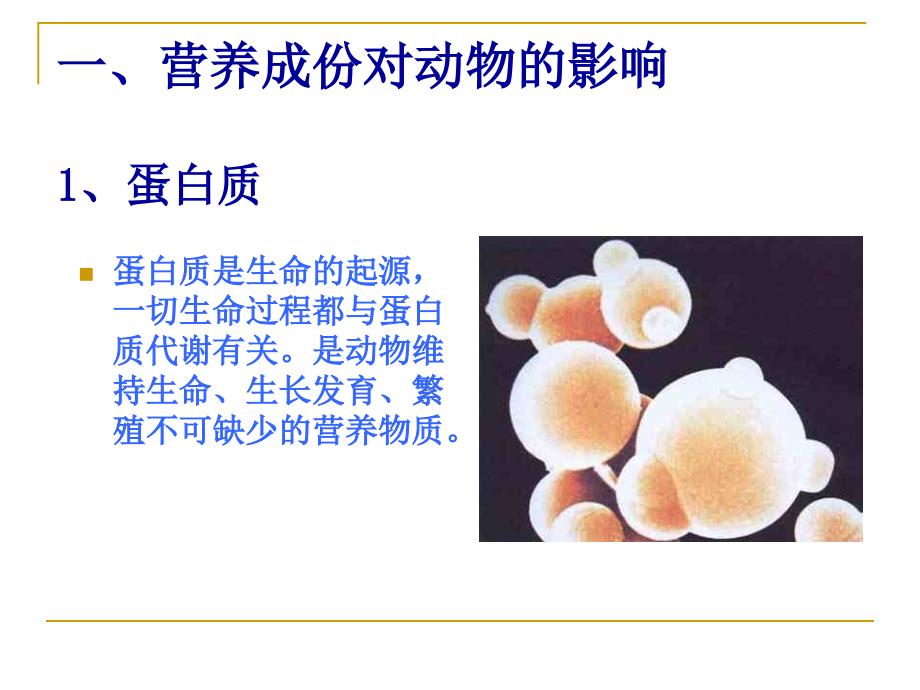 实验动物的营养控制解读_第3页