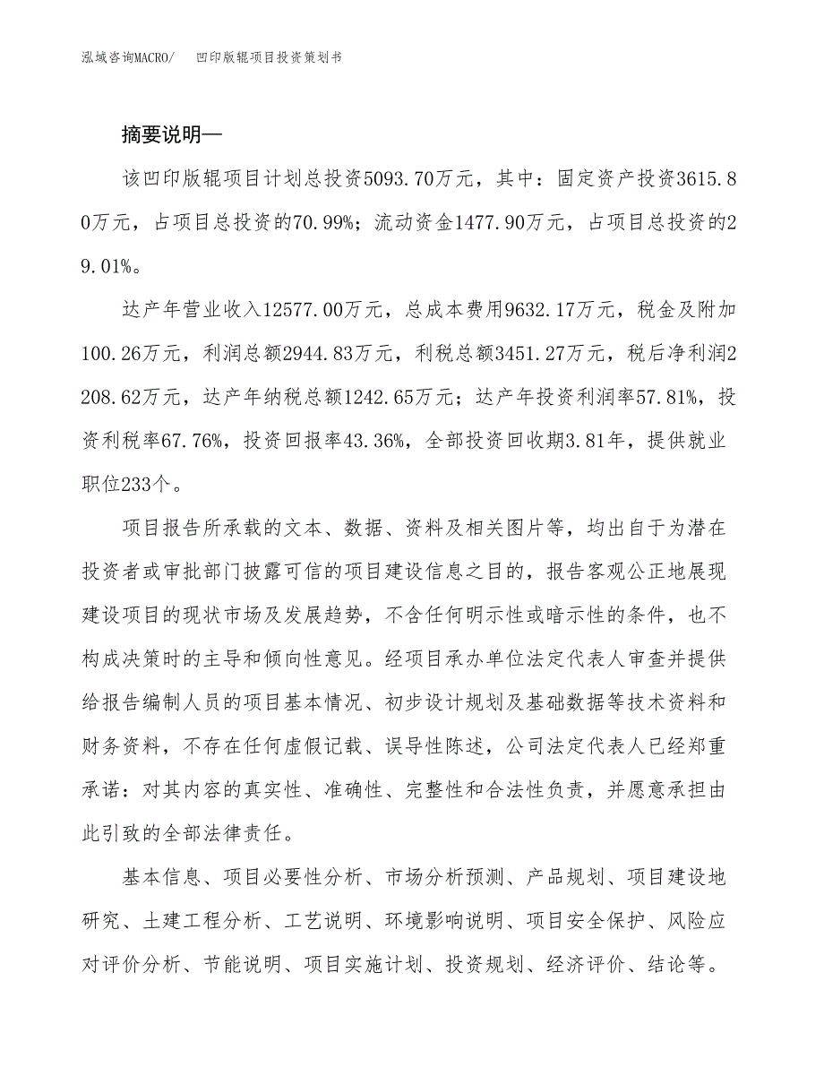 凹印版辊项目投资策划书.docx_第2页