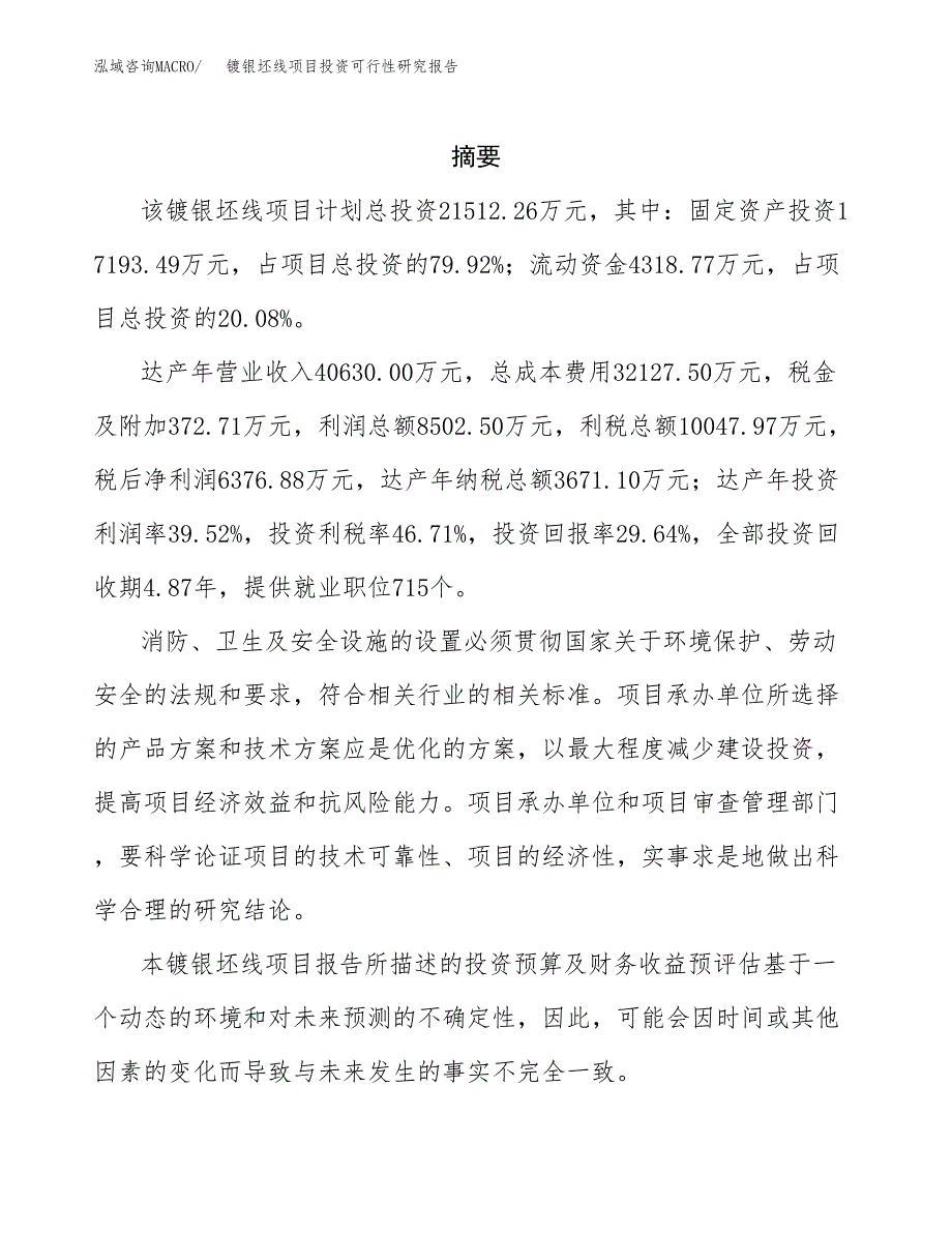 镀银坯线项目投资可行性研究报告.docx_第2页