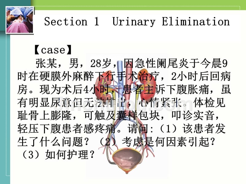 基础护理学排泄_第4页