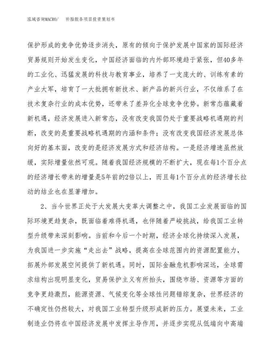 补胎胶条项目投资策划书.docx_第5页