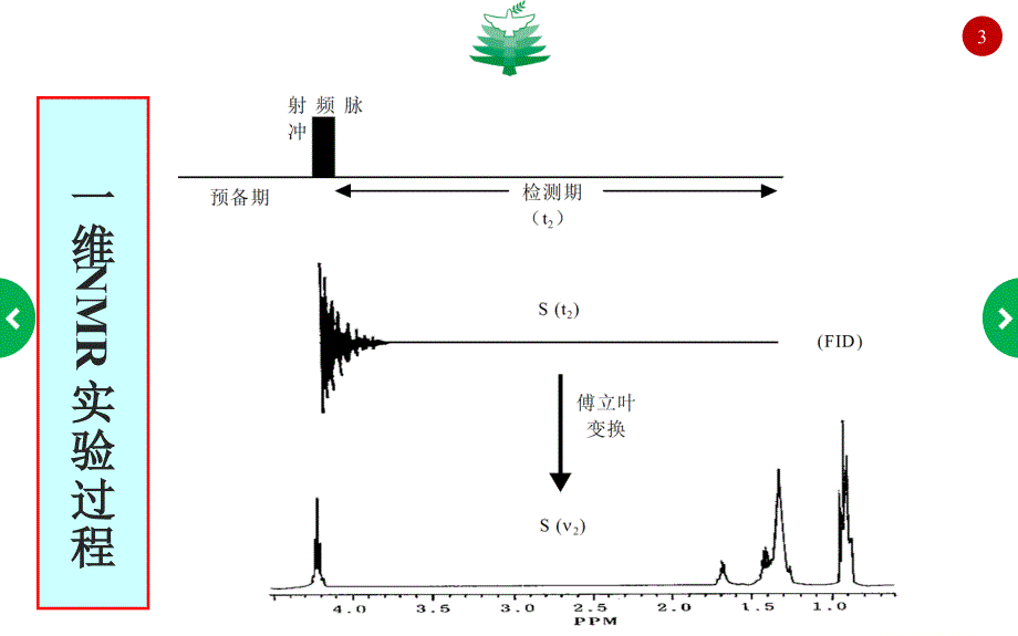 核磁共振波谱-二维谱(研)教材_第3页