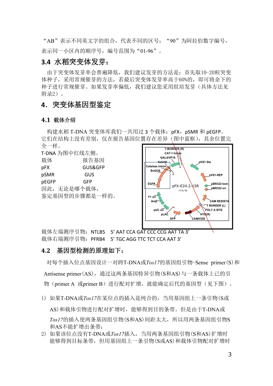 水稻突变体介绍及鉴定(很详细)剖析_第3页