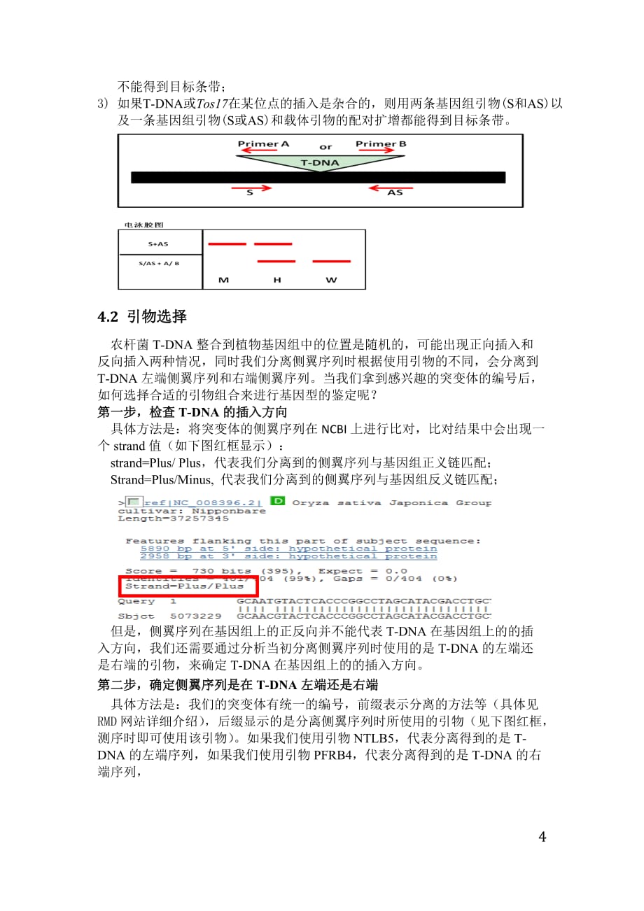 水稻突变体介绍及鉴定(很详细)剖析_第4页