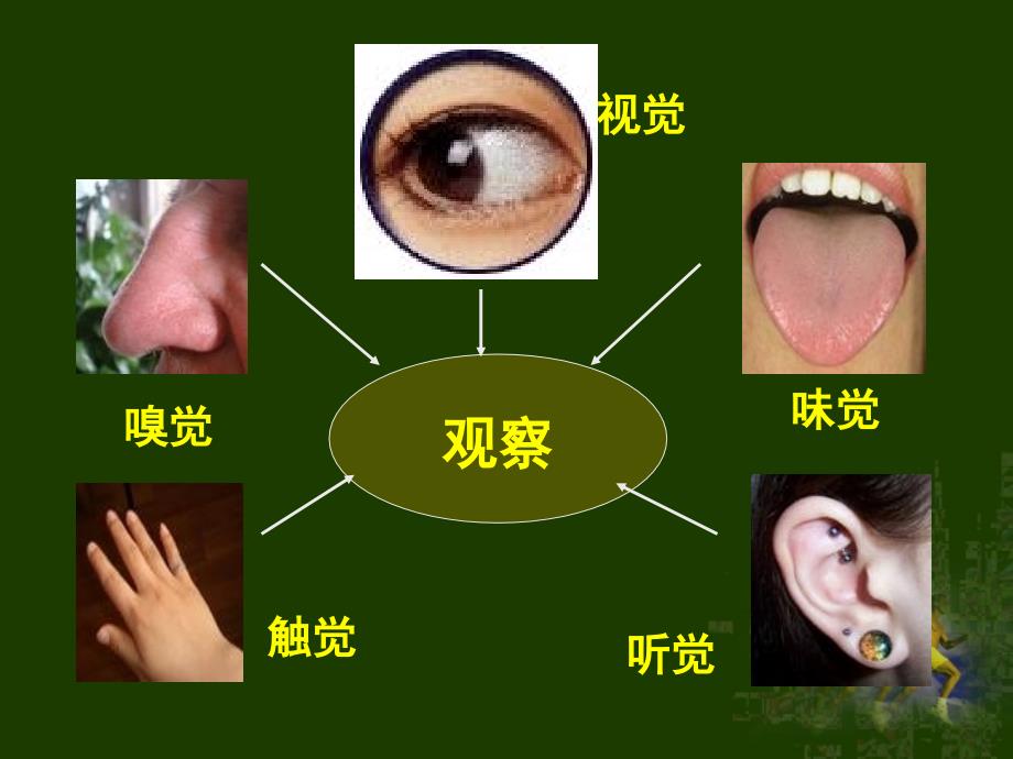 人体对外界环境的感知(完成)教材_第2页