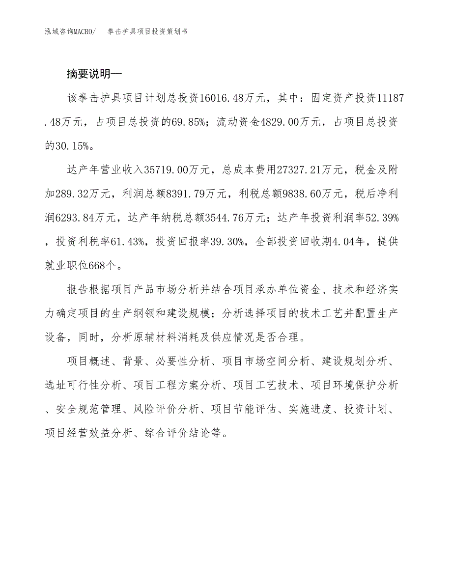 拳击护具项目投资策划书.docx_第2页