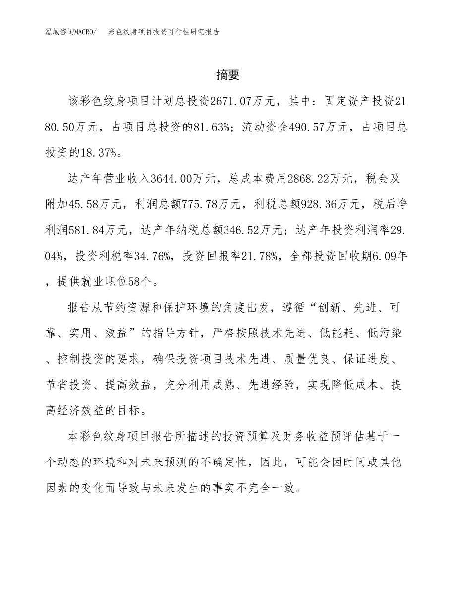 彩色纹身项目投资可行性研究报告.docx_第2页