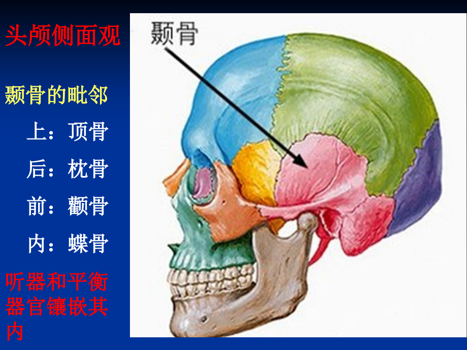 耳科解剖生理讲诉_第3页